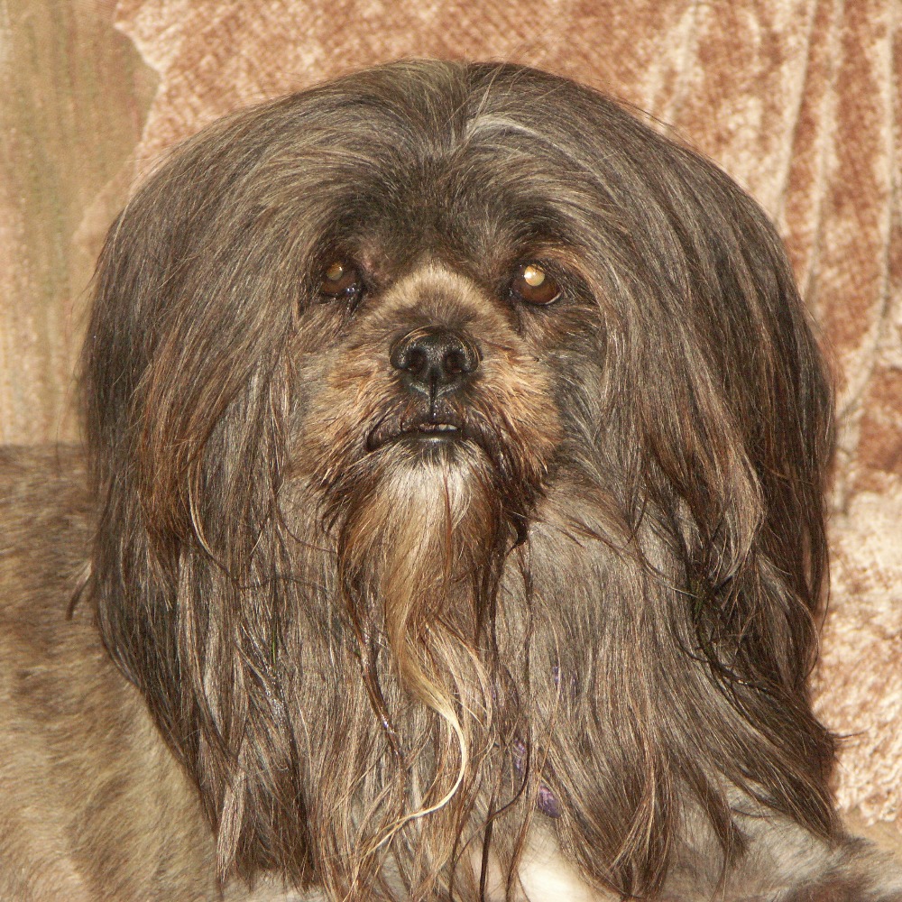 Meet your Posher, Pat